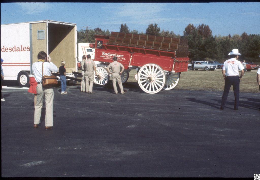 1980 Budweiser horses F'ville 06.jpg